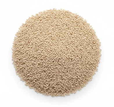 Little Millet